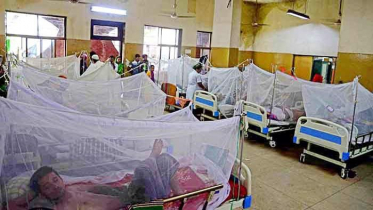 ডেঙ্গু কেড়ে নিল আরও ৫ প্রাণ
