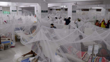 ডেঙ্গু: প্রাণ গেল আরও ৩ জনের, হাসপাতালে ভর্তি ৭৬৭ জন