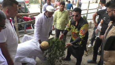 ঢাকা-সিলেট মহাসড়কে গাছ রোপণ করবেন সেলিম প্রধান