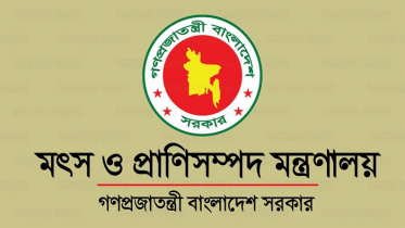ডেইরি উন্নয়ন বোর্ড গঠন, আজ থেকে কার্যকর