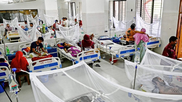 সারাদেশে ডেঙ্গুতে  ৫ জনের মৃত্যু, হাসপাতালে ৮৪১
