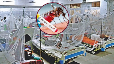ডেঙ্গুতে আরও ২ জনের মৃত্যু, হাসপাতালে ভর্তি ৯৯৬ জন ডেঙ্গুতে আরও ২ জনের মৃত্যু, হাসপাতালে ভর্তি ৯৯৬ জন