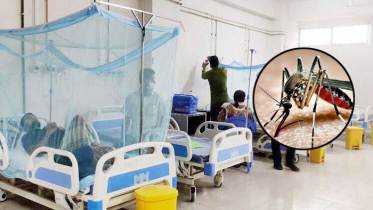ডেঙ্গুতে একদিনে ৫ জনের মৃত্যু, হাসপাতালে ভর্তি ৮৩৯ ডেঙ্গুতে একদিনে ৫ জনের মৃত্যু, হাসপাতালে ভর্তি ৮৩৯
