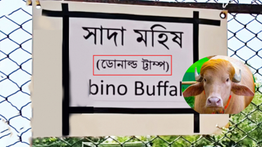 ‘ডোনাল্ড ট্রাম্প’ বানান ভুল লিখে ভাইরাল চিড়িয়াখানা কর্তৃপক্ষ ‘ডোনাল্ড ট্রাম্প’ বানান ভুল লিখে ভাইরাল চিড়িয়াখানা কর্তৃপক্ষ
