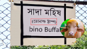 ‘ডোনাল্ড ট্রাম্প’ বানান ভুল লিখে ভাইরাল চিড়িয়াখানা কর্তৃপক্ষ