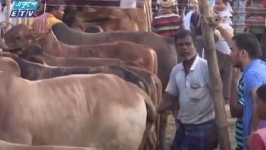 শুরু হলো ডিজিটাল হাট (ভিডিও)