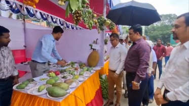 নতুন প্রজন্মকে দেশীয় ফলের সঙ্গে পরিচয় করাতে ফরিদপুরে ফল মেলা নতুন প্রজন্মকে দেশীয় ফলের সঙ্গে পরিচয় করাতে ফরিদপুরে ফল মেলা