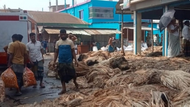সালথায় বিদ্যুতের তার ছিঁড়ে পড়ে পাটের গোডাউনে আগুন