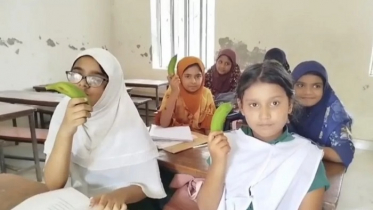 ফরিদপুরে টিফিনে কাঁচা কলা বিতরণের অভিযোগে শিক্ষক বরখাস্ত