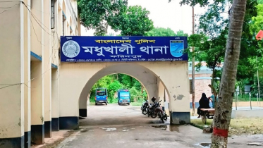 মধুখালীতে জাম পাড়তে গিয়ে গাছ থেকে পড়ে গৃহবধূর মৃত্যু
