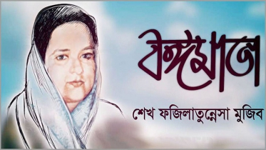 ‘বঙ্গমাতা বেগম ফজিলাতুন নেছা মুজিব’ পদক দেবে সরকার