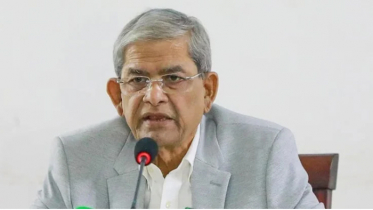 গণতন্ত্র কেবল অধিকার নয়, এটা দায়িত্ব-দায়বদ্ধতাও: মির্জা ফখরুল