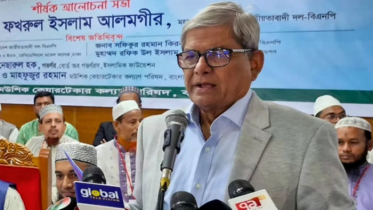 গণতন্ত্র থাকলে সবার অধিকার প্রতিষ্ঠা সম্ভব: মির্জা ফখরুল
