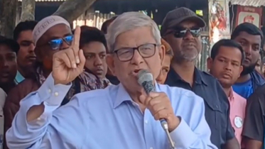 বিএনপি কাজে বিশ্বাসী, সমালোচনা নয়: মির্জা ফখরুল
