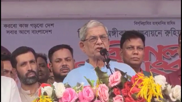 দেশকে অস্থিতিশীল করার অপচেষ্টা চলছে: মির্জা ফখরুল