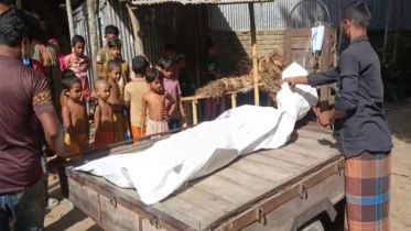 পারিবারিক কলহের জেরে স্ত্রীকে পিটিয়ে হত্যা, স্বামী আটক