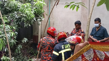 ফরিদপুরে সেফটিক ট্যাংকে মিললো বৃদ্ধার মরদেহ