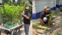 ফরিদপুরে কবরের ফুলগাছ চুরি, যুবকের অভিনব জবাব