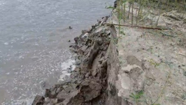 বর্ষার শুরুতেই পদ্মার ভয়াল থাবা, ভাঙনের মুখে শতাধিক পরিবার বর্ষার শুরুতেই পদ্মার ভয়াল থাবা, ভাঙনের মুখে শতাধিক পরিবার