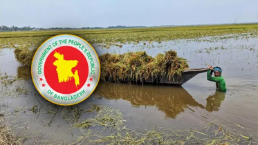 বন্যায় ক্ষতিগ্রস্ত কৃষকদের ৩ মাসের খাদ্য সহায়তা শুরু বুধবার