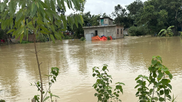 ফেনীতে বন্যা, দুই উপজেলায় এইচএসসি পরীক্ষা স্থগিত