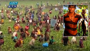 চলনবিলে চলছে মাছ শিকারের উৎসব (ভিডিও)