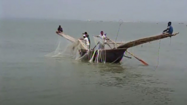 মধ্য রাত থেকে পদ্মা-মেঘনায় দু’মাস মাছ ধরা নিষিদ্ধ (ভিডিও)