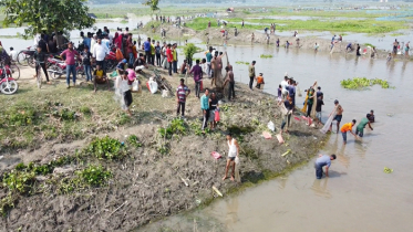 ঠাকুরগাঁওয়ে মাছ ধরার উৎসব শুরু