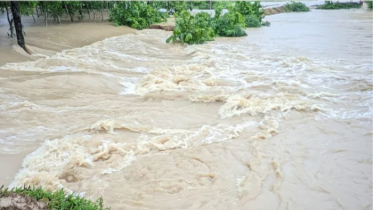 ফেনীর বন্যা নিয়ন্ত্রণ বাঁধের ১৪ স্থানে ভাঙন, ৩০ গ্রাম প্লাবিত