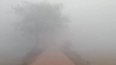 কুয়াশার দাপট থাকতে পারে আগামী ৫দিন কুয়াশার দাপট থাকতে পারে আগামী ৫দিন