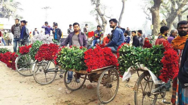 গদখালির ফুল চাষিদের মুখে বিজয়ের হাসি