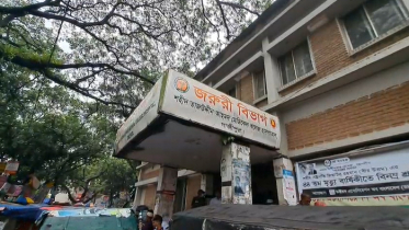 কাপাসিয়ায় ভাসুরের ছেলের ছুরিকাঘাতে চাচি নিহত