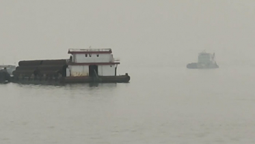 দৌলতদিয়া-পাটুরিয়া নৌরুটে ফেরি চলাচল বন্ধ