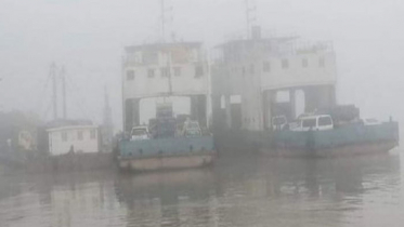 ঘন কুয়াশায় দৌলতদিয়া-পাটুরিয়া রুটে ফেরি চলাচল বন্ধ
