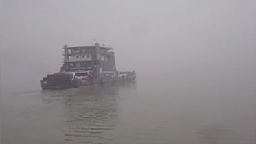 ১২ ঘণ্টা পর দৌলতদিয়া-পাটুরিয়া রুটে ফেরি চলাচল শুরু