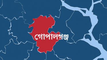 ইঁদুর মারার ফাঁদে বিদ্যুৎস্পৃষ্ট হয়ে দাদি-নাতিসহ ৩ জনের মৃত্যু