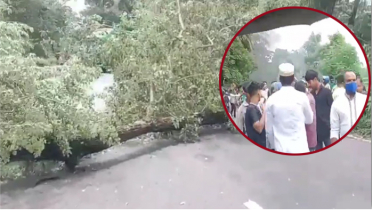 এনসিপির পদযাত্রা আটকাতে গাছ ফেলে ও টায়ার জ্বালিয়ে ব্যারিকেড