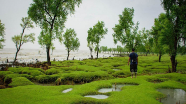 পর্যটন শিল্পে যুক্ত হচ্ছে অপরূপ গুলিয়াখালী সৈকত (ভিডিও)