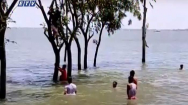 শত উন্নয়নের পরও দুর্ভোগে হাওরবাসী (ভিডিও)