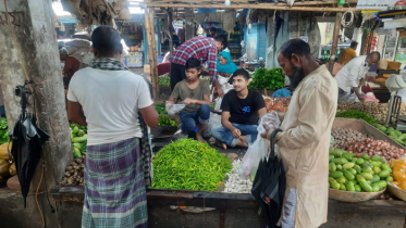 হিলিতে আরেকদফা কমলো কাঁচামরিচের দাম