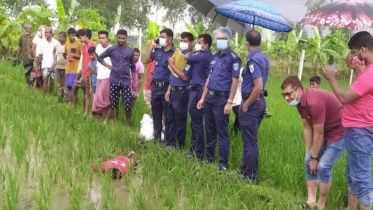 ধান ক্ষেত থেকে আদিবাসীর মরদেহ উদ্ধার