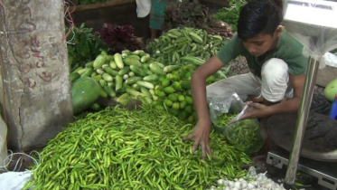 কাঁচামরিচ আমদানির খবরে কেজিতে দাম কমেছে ৪০ টাকা