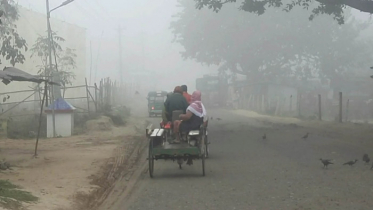 হিলিতে ঘনকুয়াশা, হেডলাইট জ্বালিয়ে চলছে যানবাহন