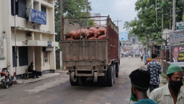 হিলি স্থলবন্দরে কাঁচামরিচের দাম কমেছে