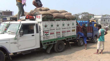 হিলি স্থলবন্দর দিয়ে ভারত থেকে সাজনা আমদানি শুরু