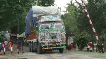 তেলের চাহিদা মেটাতে ভারত থেকে আমদানি হচ্ছে সরিষা