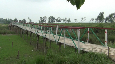 গ্রামবাসীর জন্য কলেজ ছাত্রদের কাঠের সেতু তৈরি 