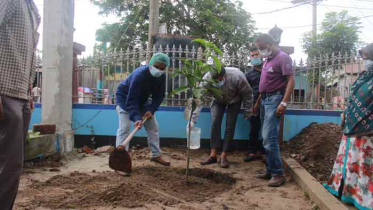 হিলিতে বৃক্ষরোপন কর্মসূচীর উদ্বোধন