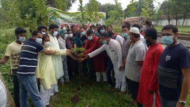 হিলিতে বৃক্ষরোপন কর্মসূচি পালিত