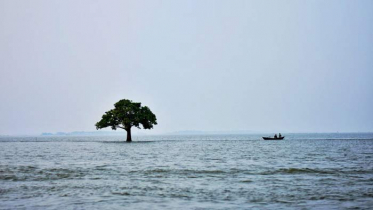 বাঁধ নির্মাণ ও নদী খননে অস্থিত্বহীনের শঙ্কায় হাওর (ভিডিও)